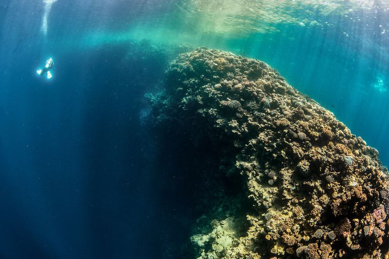 подводный мир, дайвинг, подводная съемка, блюхолл Блю Холлphoto preview