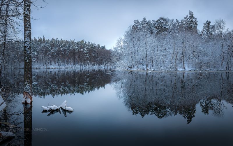 белгородская область, белогорье, зима, зима22, зимнее, первый снег, снежное, отражение, пруд, озеро, водоём, дерево, берег, пасмурное, белый, синий, лес, Зеркальная тишина первого снегаphoto preview