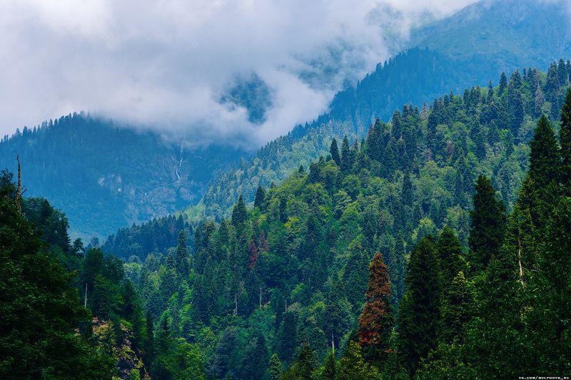 Горы, лес, облака, дымка Абхазияphoto preview