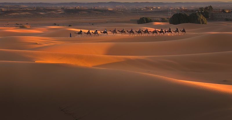 пустыня, сахара, верблюды, марокко, эрфуд На краю Сахарыphoto preview
