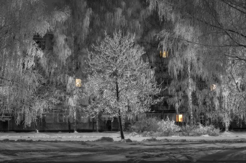 зима городок ночь снег березы Ночь в маленьком городкеphoto preview