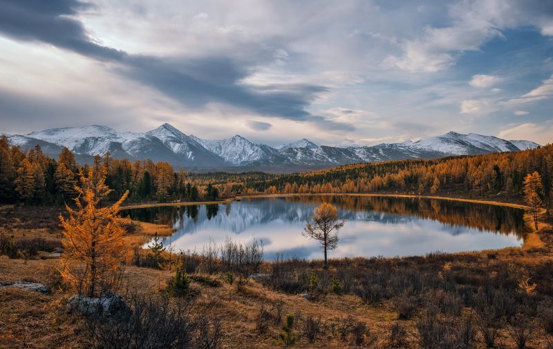 горный алтай,осень,утро,озеро киделю Когда притихнет ветерphoto preview