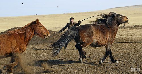 Mongolian horsemen