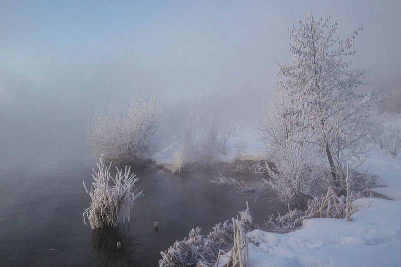 Во власти холода