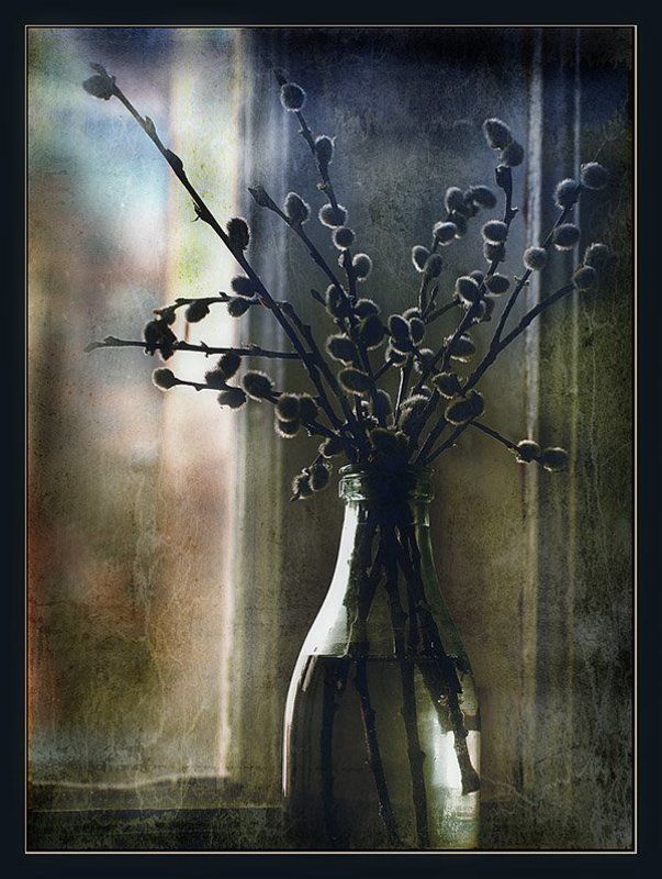 Красивая ваза с вербой. Верба вино. Пасхальный натюрморт. Альянико дель вультуре. Фдеутщ 2017 вино.