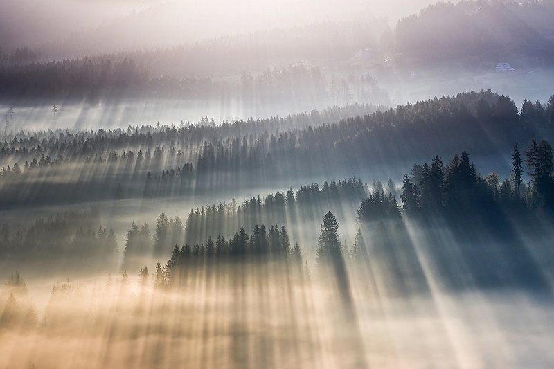 Fog, Mountains, Mountains Beskids, Rays Morning rays ...photo preview