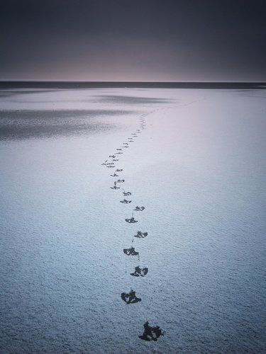 Прогулка по зимнему морю