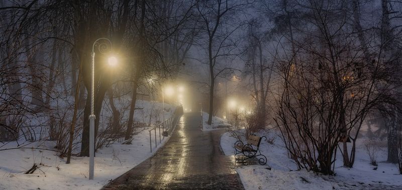 Вечер в туманном парке