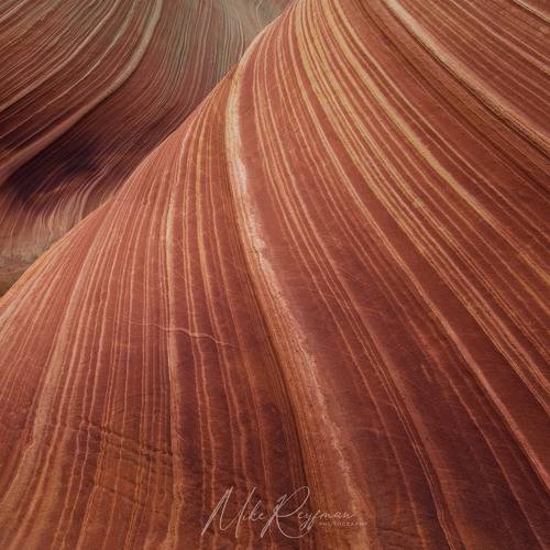 The Wave. Coyote Buttes North. Arizona