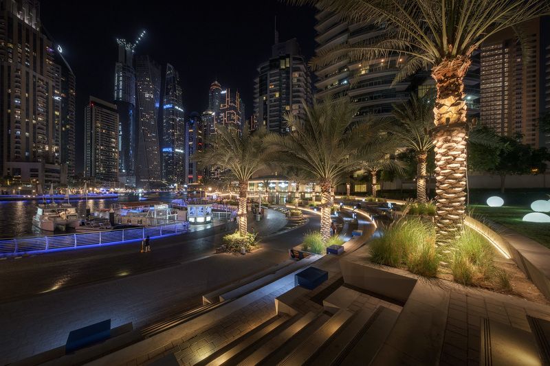 Dubai Marina Lights