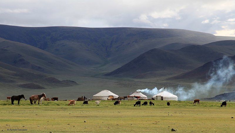 Монголия, Степь, Юрты Вечер в степи.photo preview