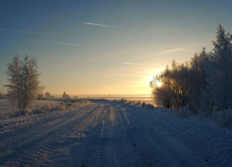 Зимняя дорога.
