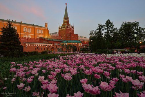 Парад цветов в Александровском саду