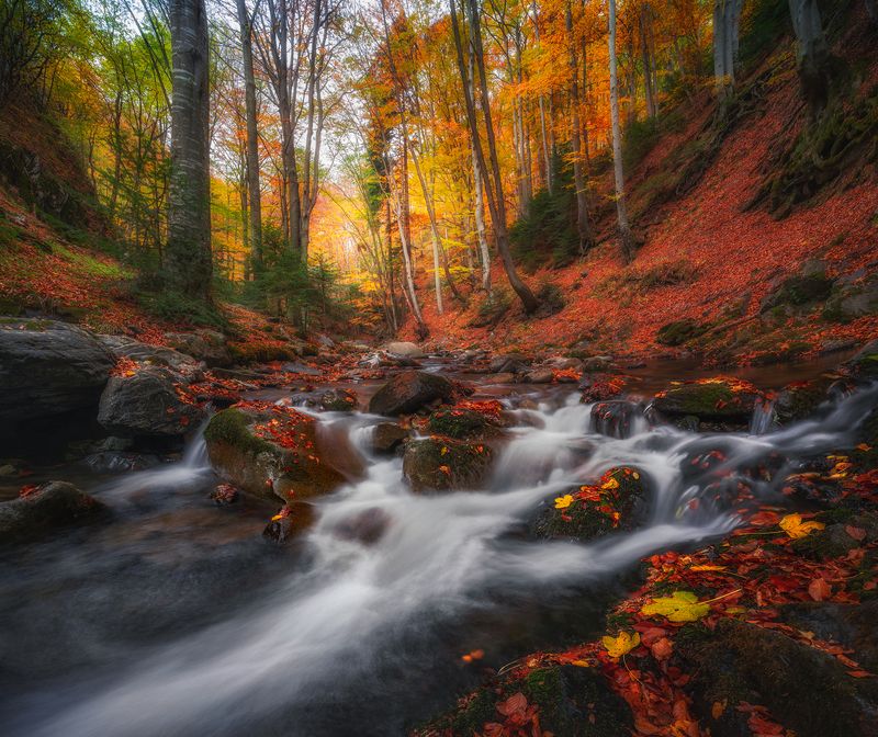 Stara reka, Stara planina