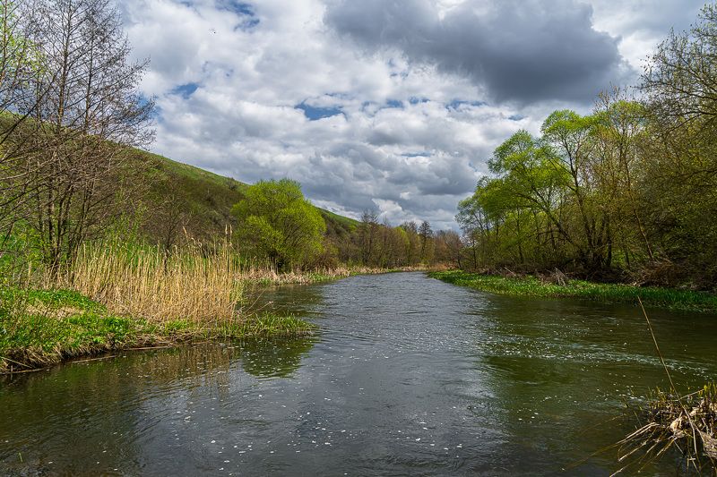 Весна на реке Кшень