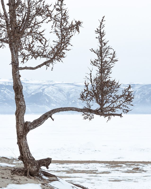 Байкал. Минимализм острова Ольхон…  Baikal. The minimalism of Olkhon island...