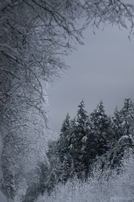 Зима на Карельском перешейке