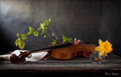 Сыграть смычком весны мелодию на старой скрипке