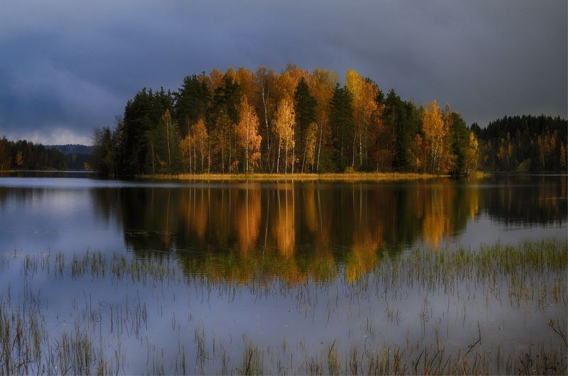 Загрустив, всплакнула осень маленьким дождём...