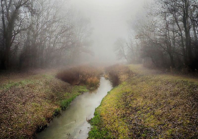 Foggy creek