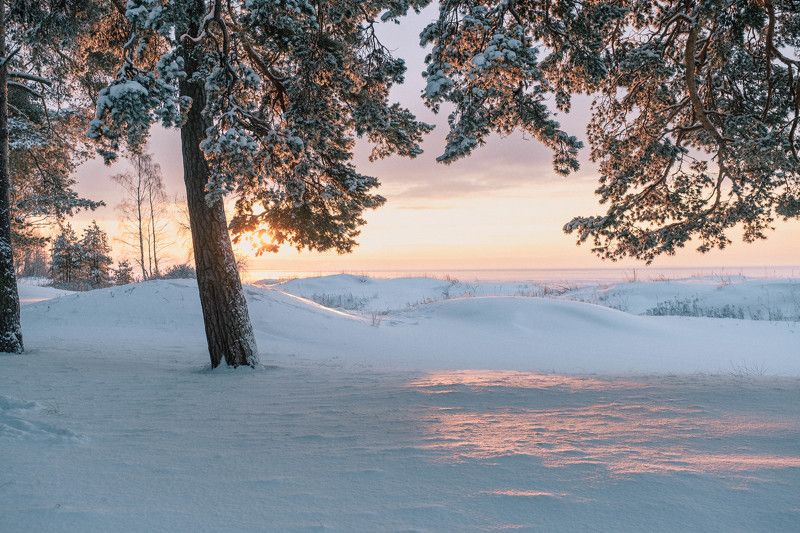 Зимнее утро на Финском заливе