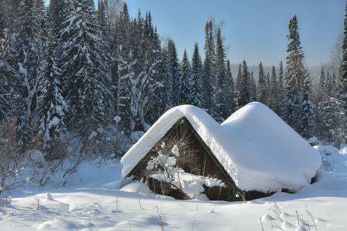 Одинокий домик в зимнему лесу