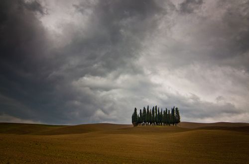 Под весенними дождями Тосканы