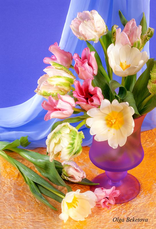 Тюльпаны в фиолетовой вазе