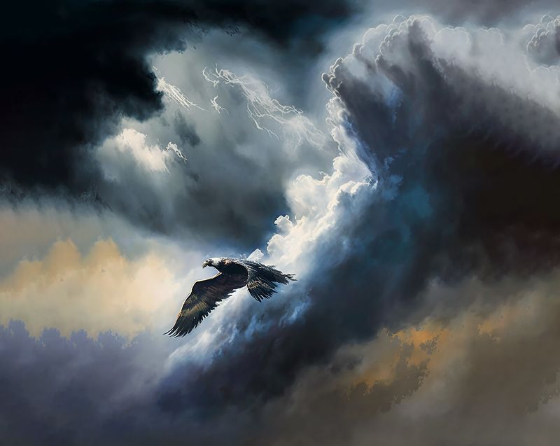 a bird fighting a storm