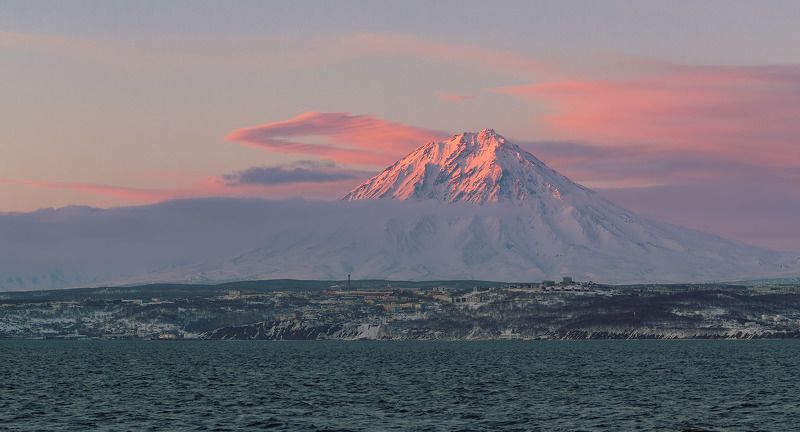 красный дракон