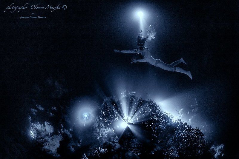 ночь, фонарь, коралл, Маргарита, море, вода Маргаритаphoto preview