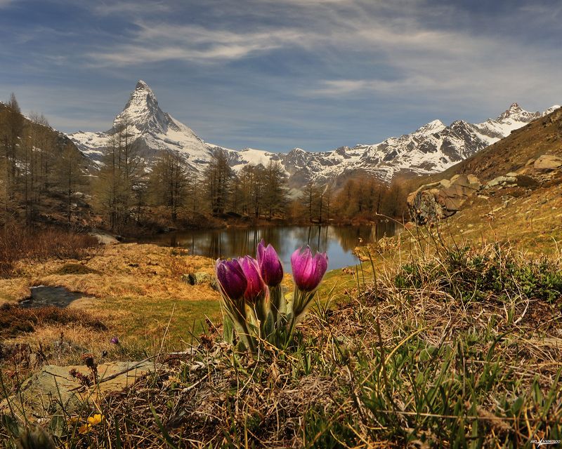 Весна в Горах
