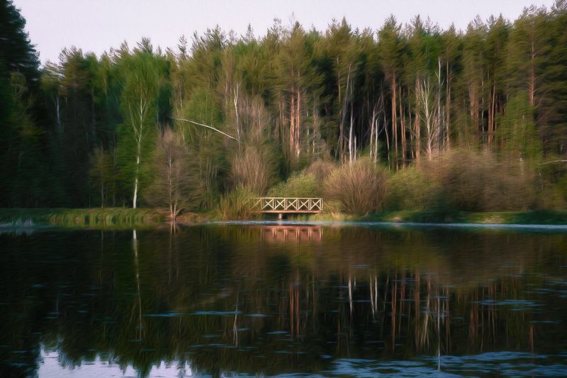 Мостик на лесном озере