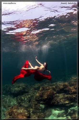 Афродита (подводное фото)