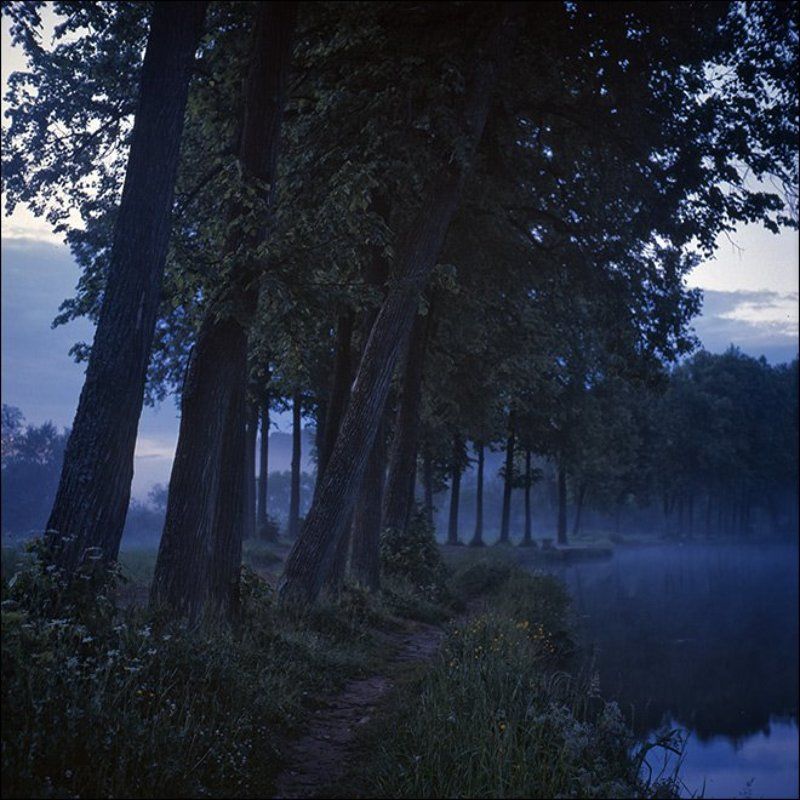 Утренняя летняя слайдовая картинка с деревьями на берегу пруда в Середниковоphoto preview