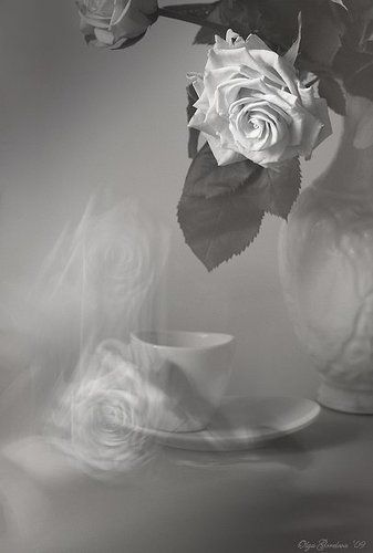 чайные розы...