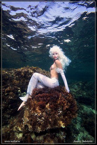 Принцесса моря (подводное фото)
