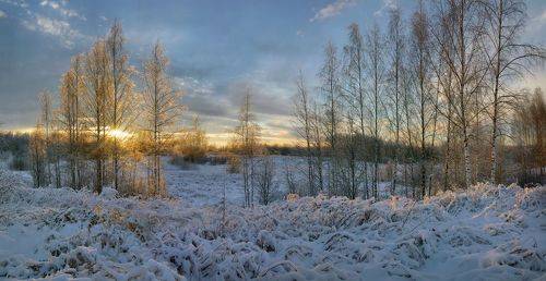 Зимний пейзаж на закате...