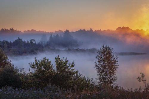 Утренний туман над озером
