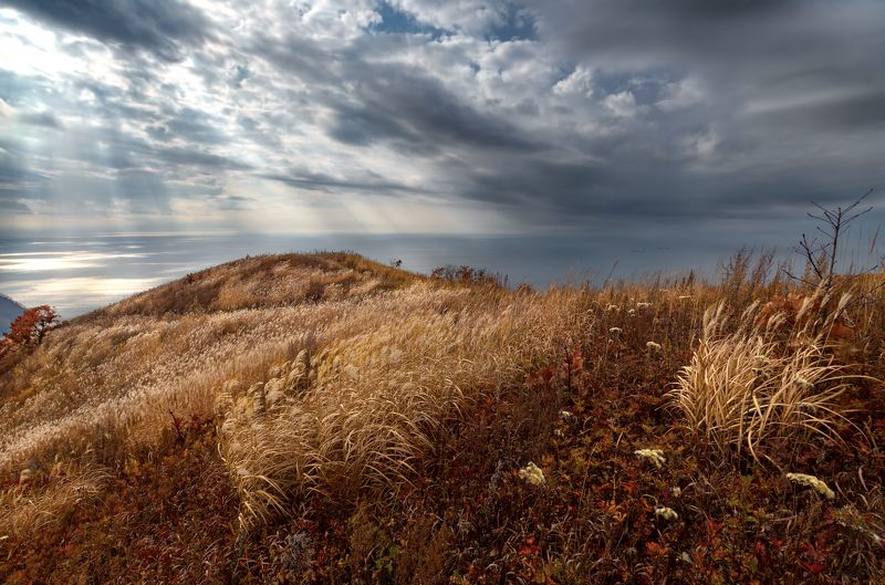 Песня дорога к морю