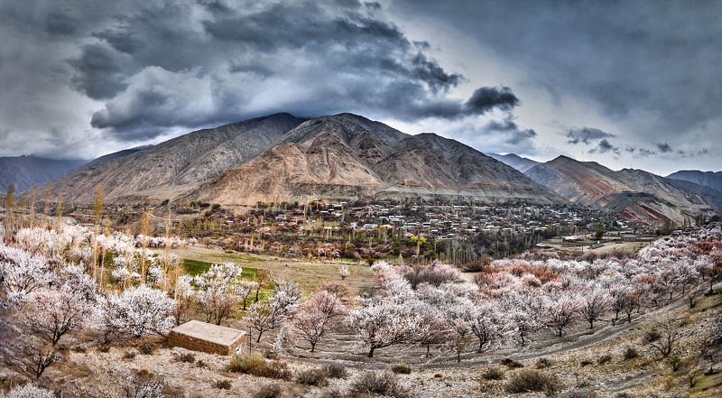 Весна в горах... Айни. Согдийская область. Таджикистан(Панорама)