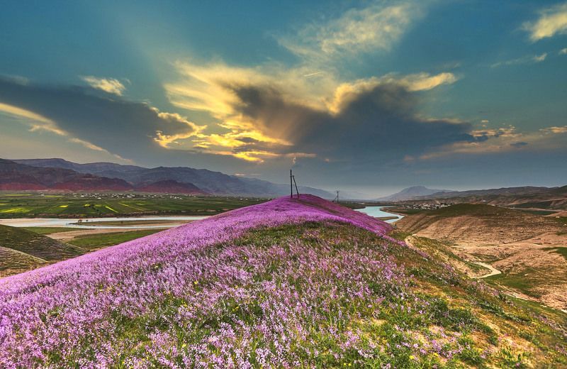 Фиолетовая Весна… Кубодиен. Таджикистан