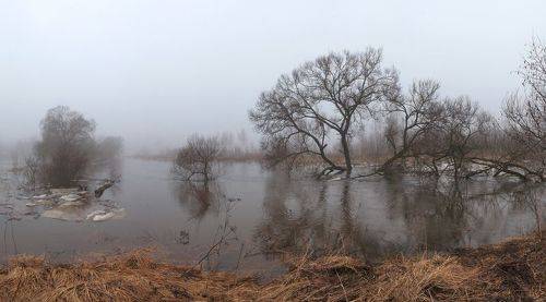 Весенний туман на реке.