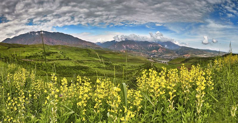 Желтая Весна. Чорбог. Душанбе. Таджикистан(панорама)