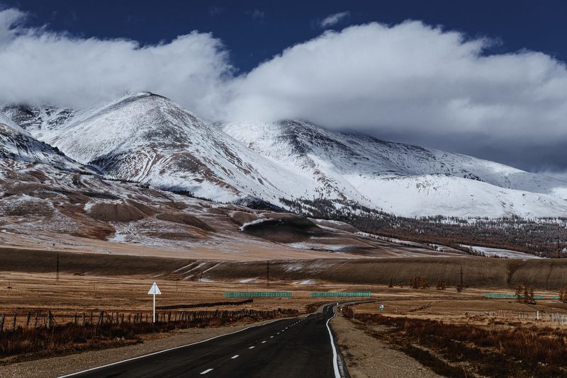 Курайская степь