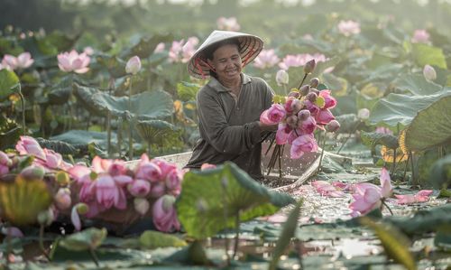 Farmer harvest lotus flowers