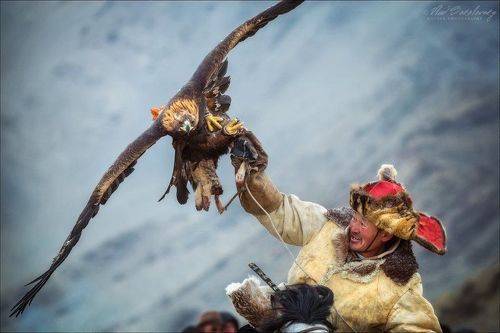 Монголия: люди.. лица.. птицы..