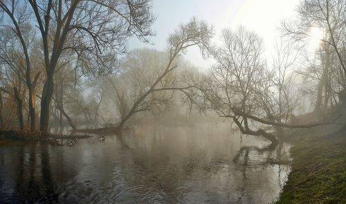 Туманное утро на реке.
