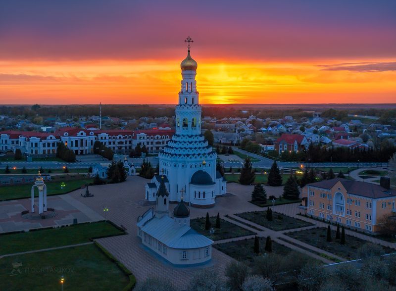 Птица Белгородской области Прохоровка