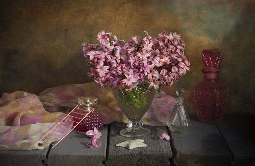 Розовые гиацинты